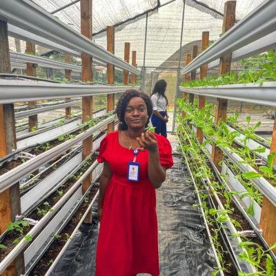green house